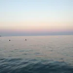 Corafili كوتاري