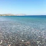Corafili كوتاري