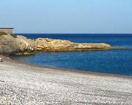 Corafili * קיוטארי