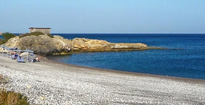 Corafili * 키오타리